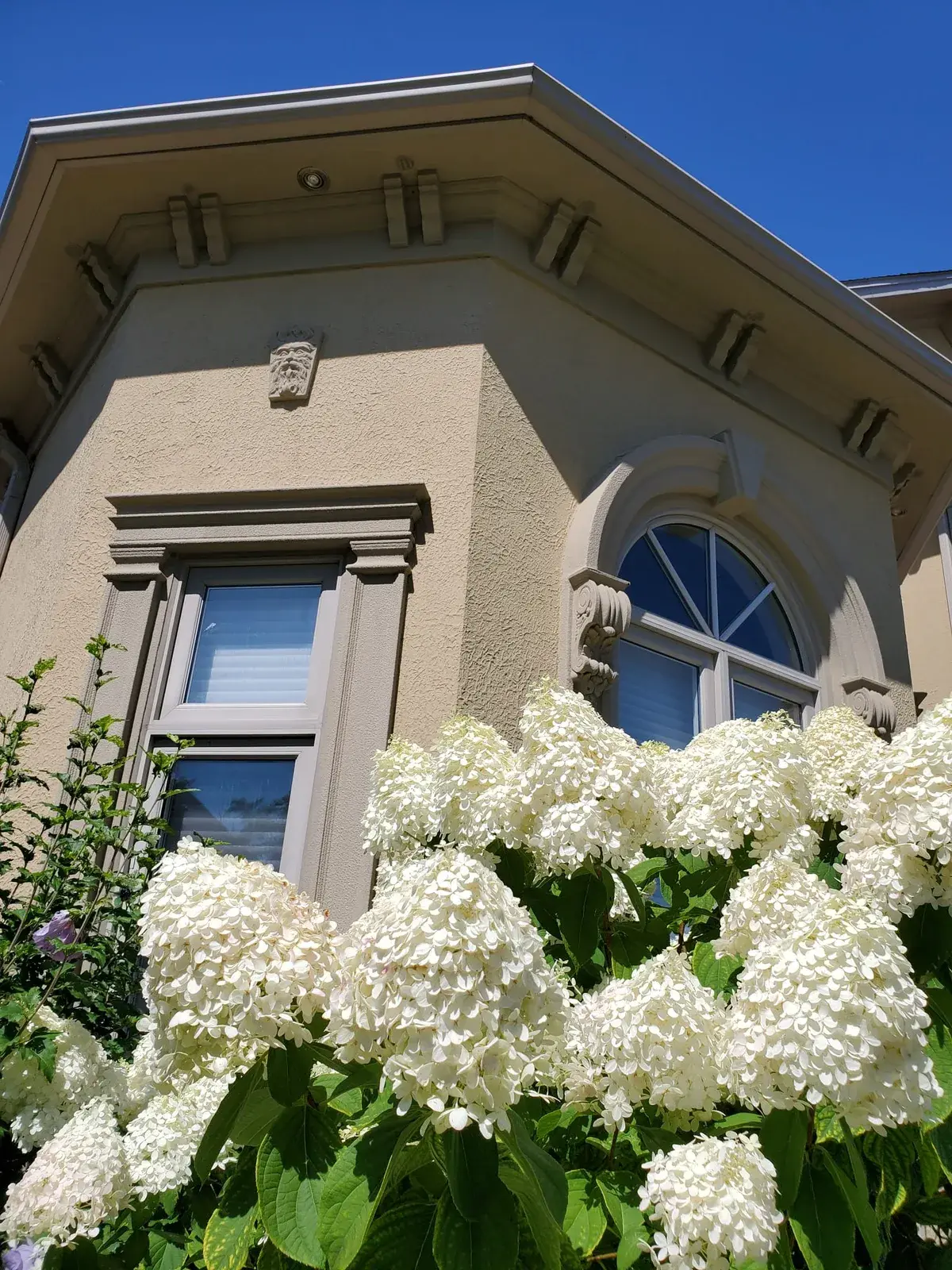 Stucco cornice and window moulding with a carved keystone above blooming hydrangeas